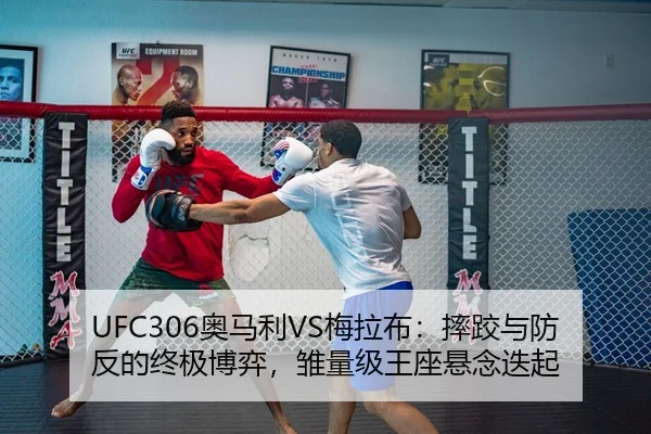 UFC306奥马利VS梅拉布：摔跤与防反的终极博弈，雏量级王座悬念迭起