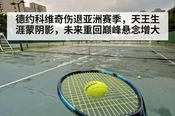 德约科维奇伤退亚洲赛季，天王生涯蒙阴影，未来重回巅峰悬念增大